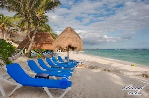 Beachfront Hammock Heaven Akumal