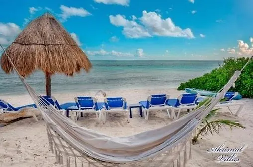 Apartment Beachfront Hammock Heaven Akumal Mexico