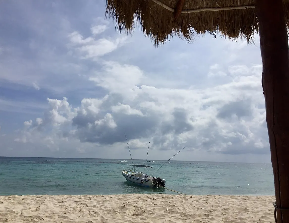 Apartment Beachfront Hammock Heaven Akumal